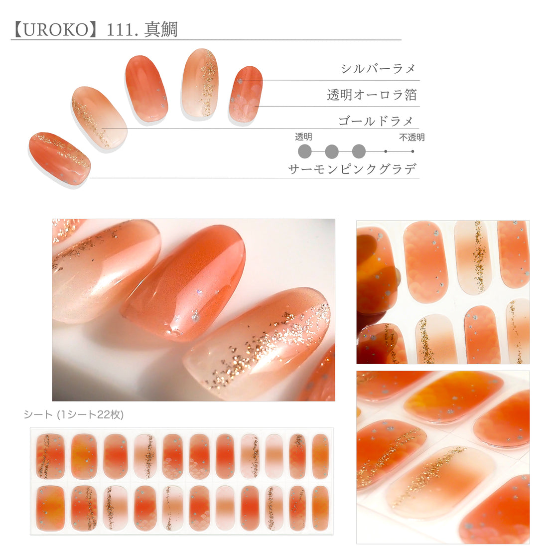 【UROKO】111.真鯛